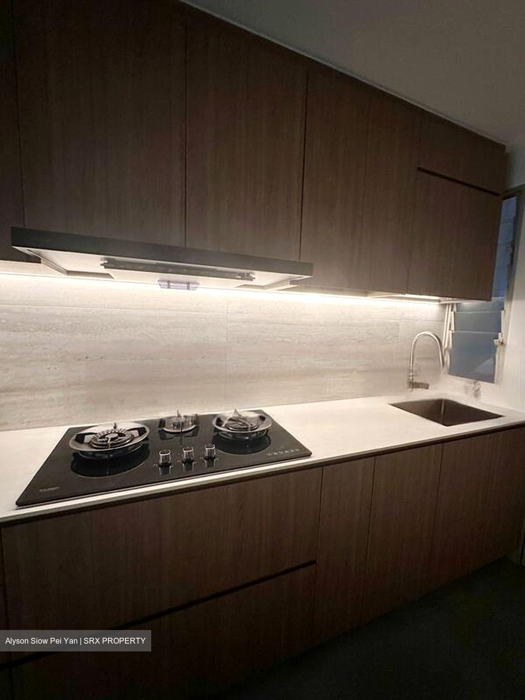 RiverEdge (D15), Condominium #458636881